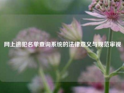 网上逃犯名单查询系统的法律意义与规范审视