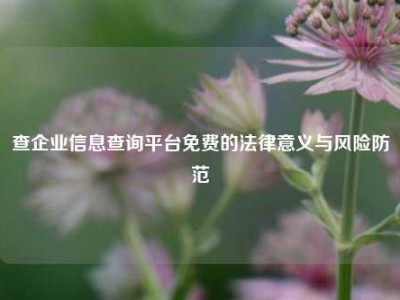 查企业信息查询平台免费的法律意义与风险防范