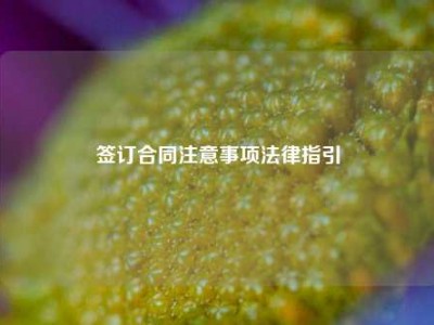 签订合同注意事项法律指引