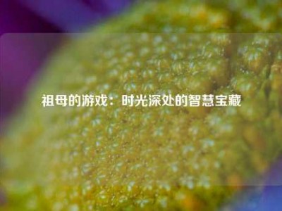 祖母的游戏：时光深处的智慧宝藏