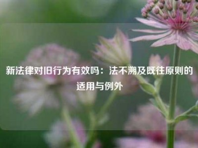 新法律对旧行为有效吗：法不溯及既往原则的适用与例外