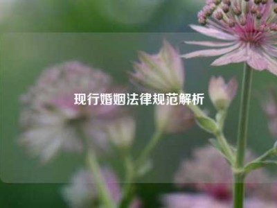 现行婚姻法律规范解析
