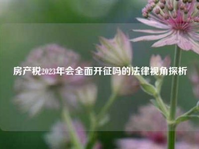 房产税2023年会全面开征吗的法律视角探析