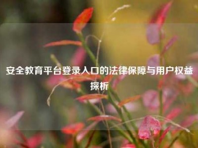 安全教育平台登录入口的法律保障与用户权益探析