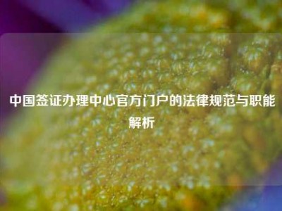 中国签证办理中心官方门户的法律规范与职能解析