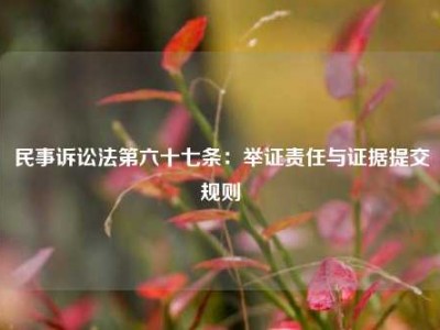 民事诉讼法第六十七条：举证责任与证据提交规则