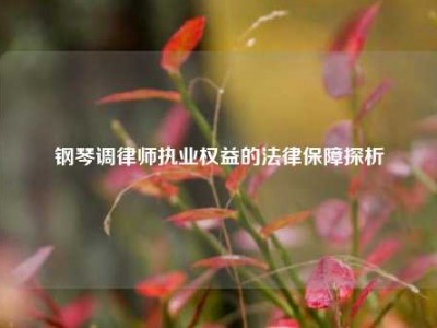 钢琴调律师执业权益的法律保障探析