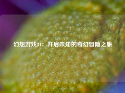 幻想游戏31：开启未知的奇幻冒险之旅