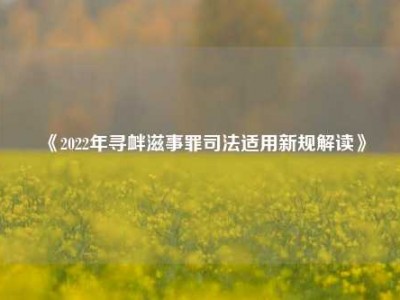 《2022年寻衅滋事罪司法适用新规解读》