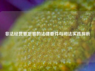 非法经营罪定罪的法律要件与司法实践探析