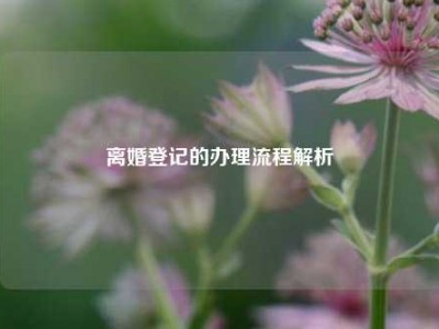 离婚登记的办理流程解析