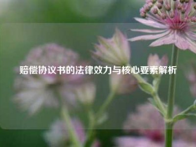 赔偿协议书的法律效力与核心要素解析