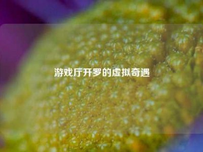 游戏厅开罗的虚拟奇遇