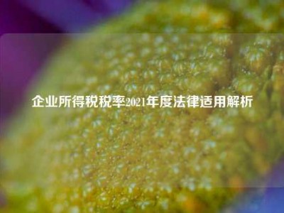 企业所得税税率2021年度法律适用解析