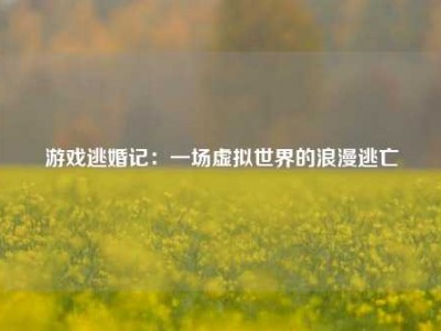 游戏逃婚记：一场虚拟世界的浪漫逃亡