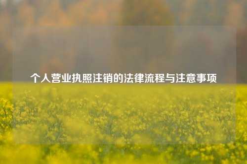 个人营业执照注销的法律流程与注意事项