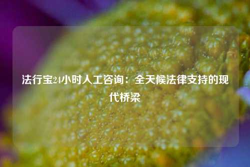 法行宝24小时人工咨询：全天候法律支持的现代桥梁