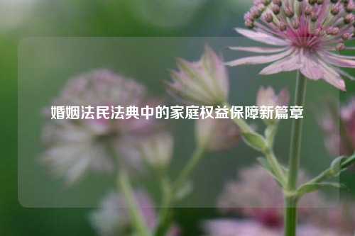 婚姻法民法典中的家庭权益保障新篇章