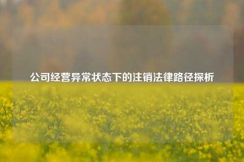 公司经营异常状态下的注销法律路径探析
