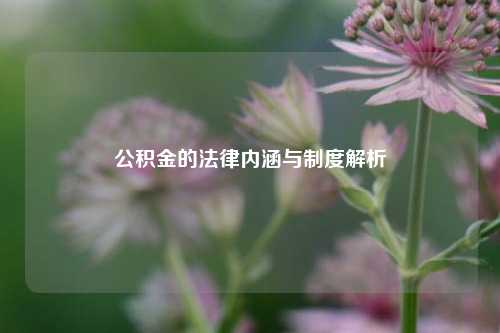 公积金的法律内涵与制度解析