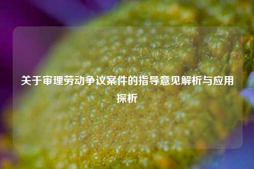关于审理劳动争议案件的指导意见解析与应用探析