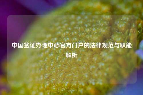 中国签证办理中心官方门户的法律规范与职能解析