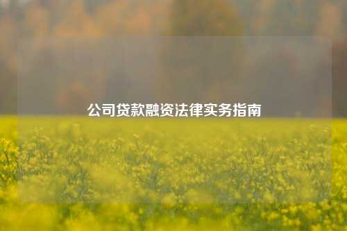 公司贷款融资法律实务指南